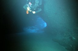 20011011_1_Shaab_Sharm_0007
